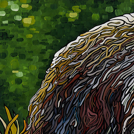 #111 "Great Bear Rainforest"