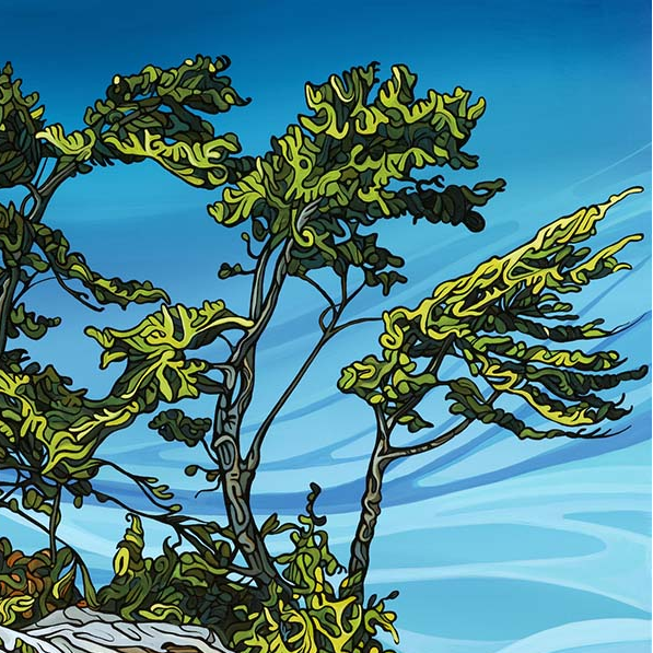 #218 – On the Water