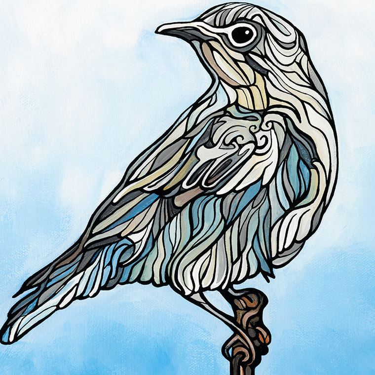 #252 – Mountain Bluebird