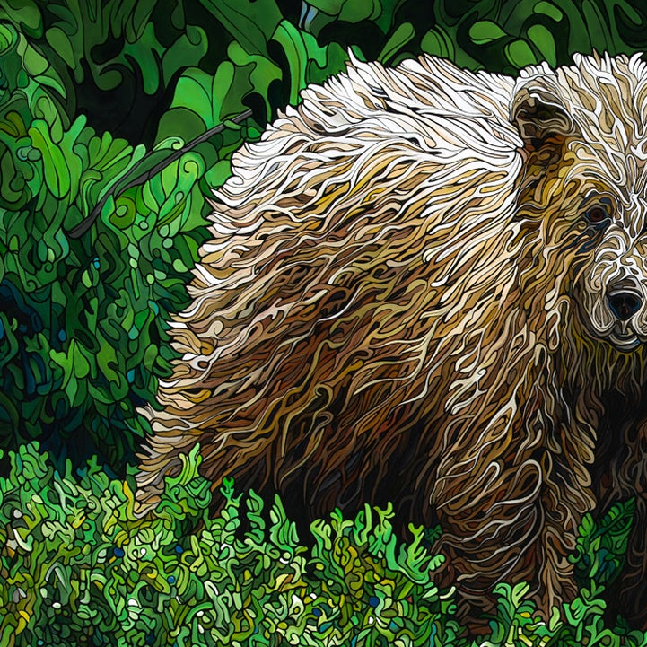 #256 – Hidden Among the Firs