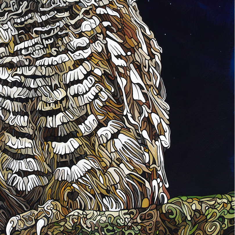 #259 – The Night Owl