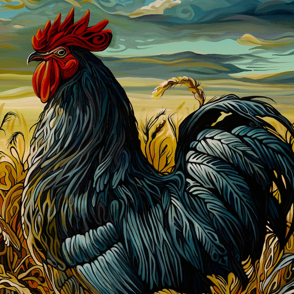 A black rooster stands in a wheat field beneath a vivid sky in the painting Where I Stand.
