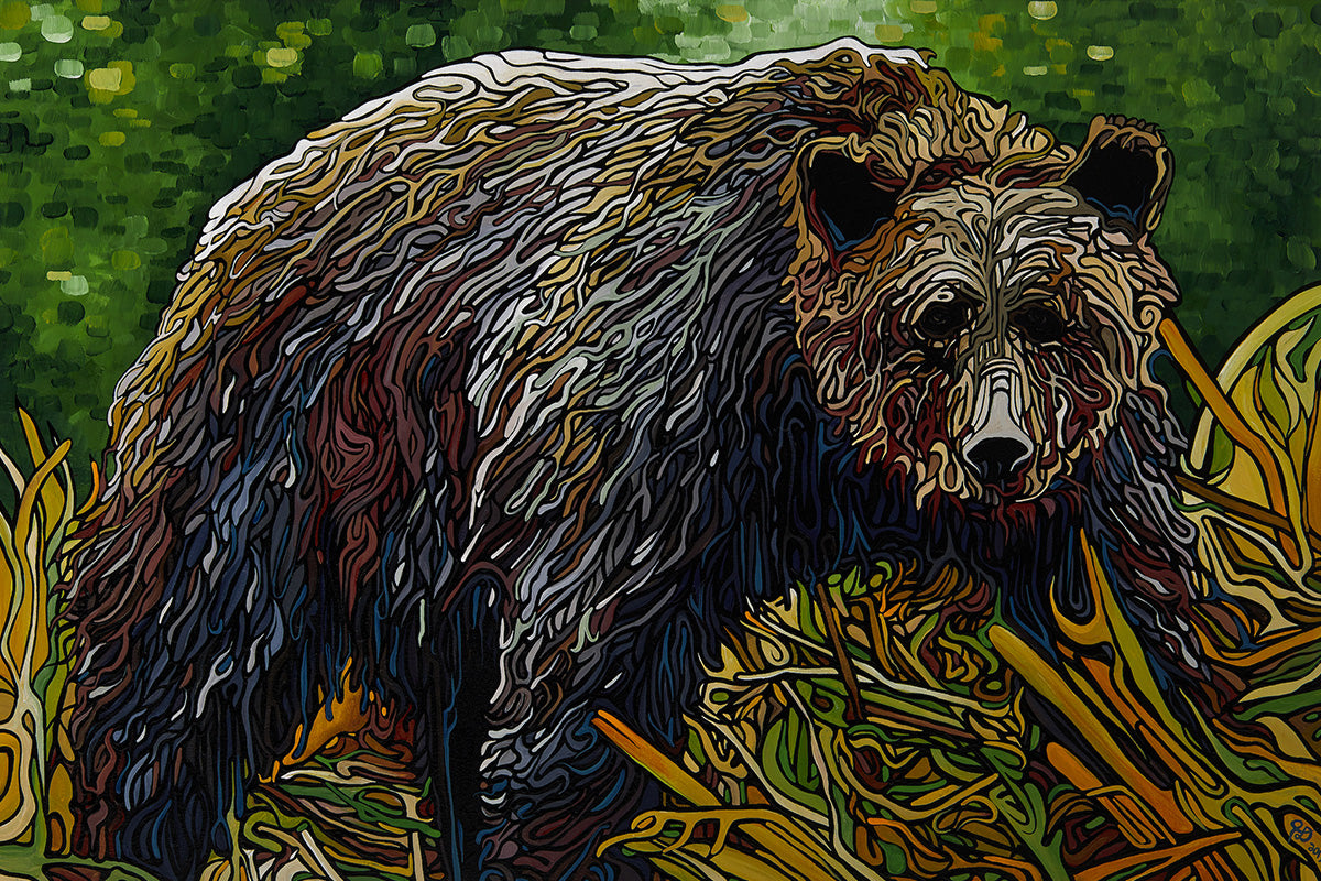 111-great-bear-rainforest