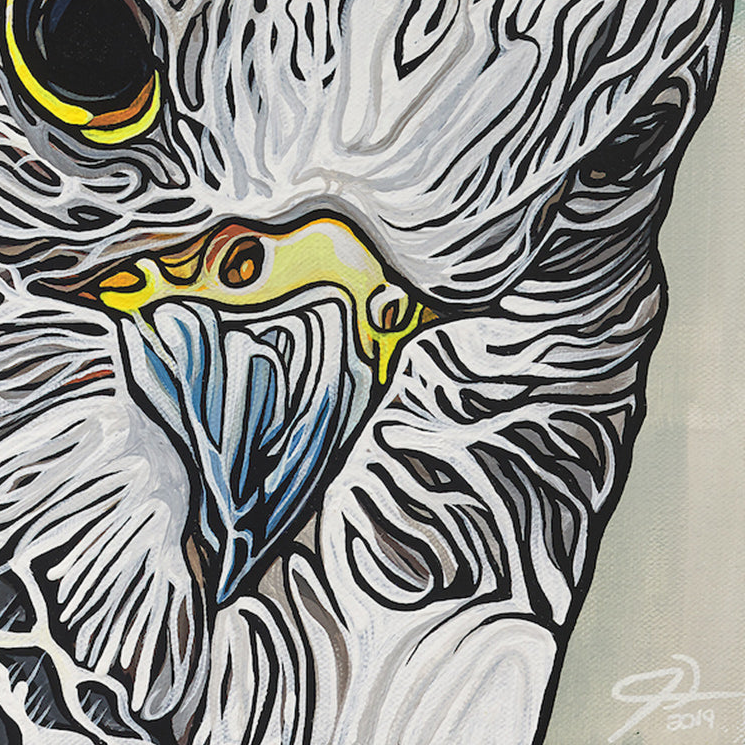 #158 – Concealed Perch