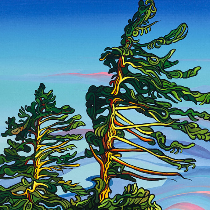 #178 – Diamond Pine