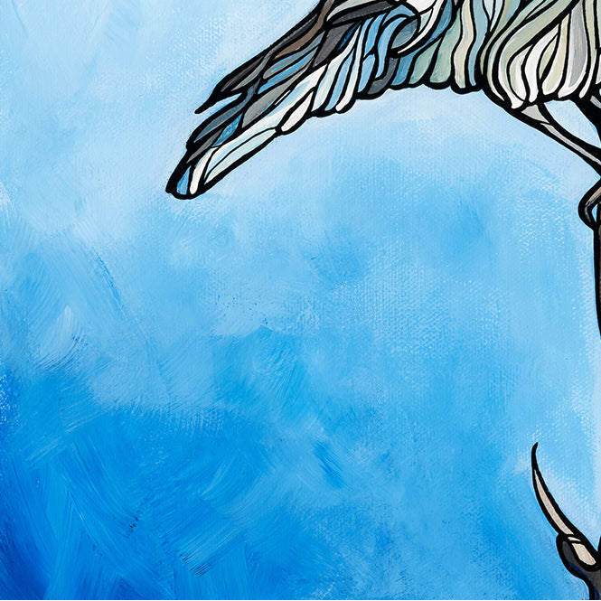 #252 – Mountain Bluebird