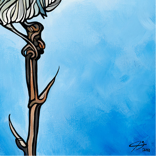 #252 – Mountain Bluebird