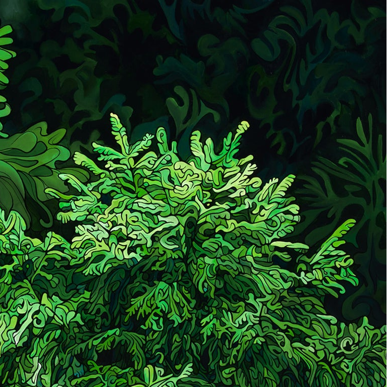 #256 – Hidden Among the Firs