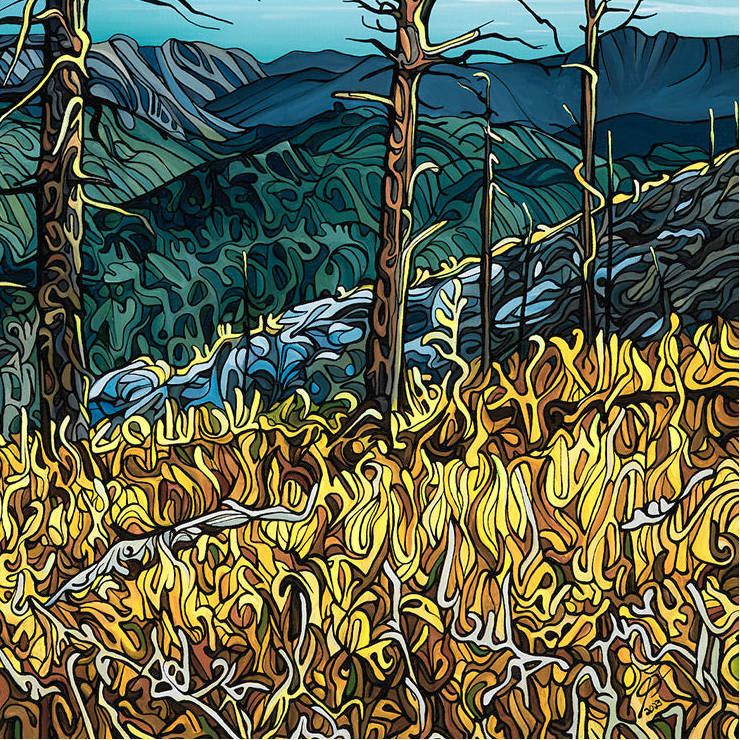 #265 – Golden Hour