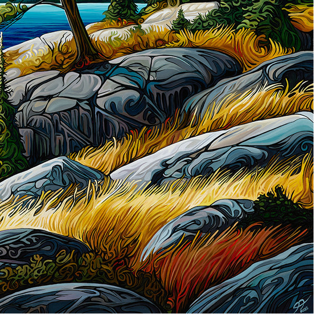 #294 – The Jack Pine