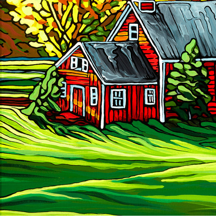 #47 – Valley Morning Light