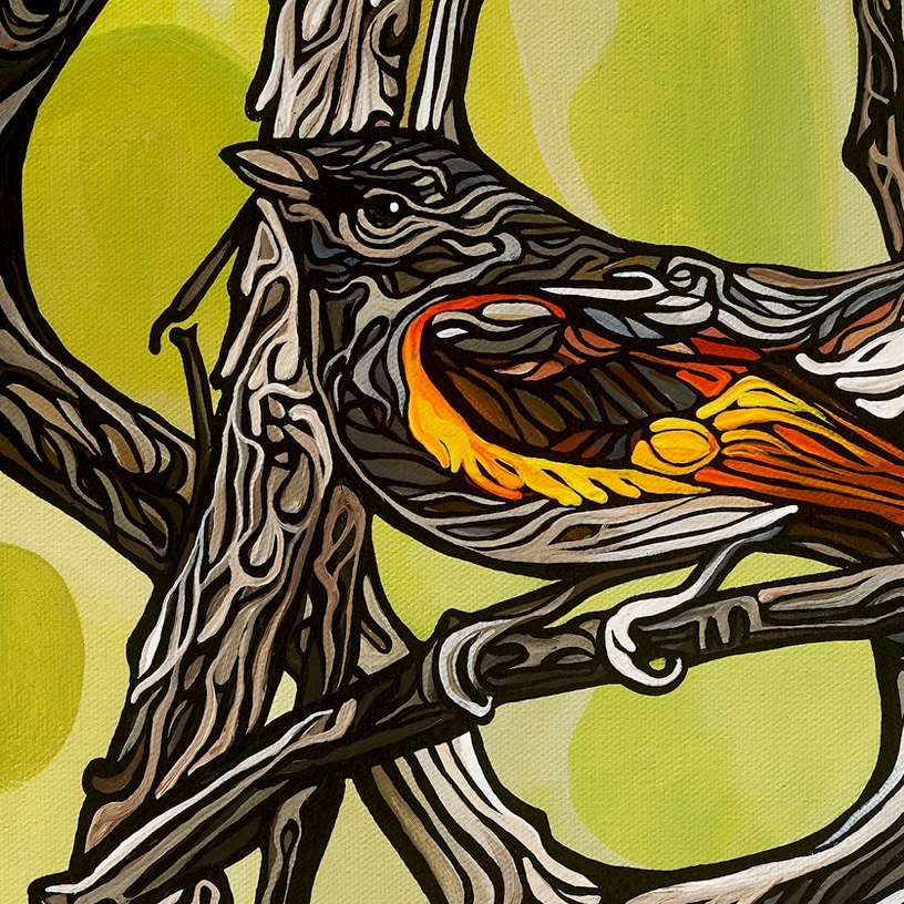 #164 – Ray of Light