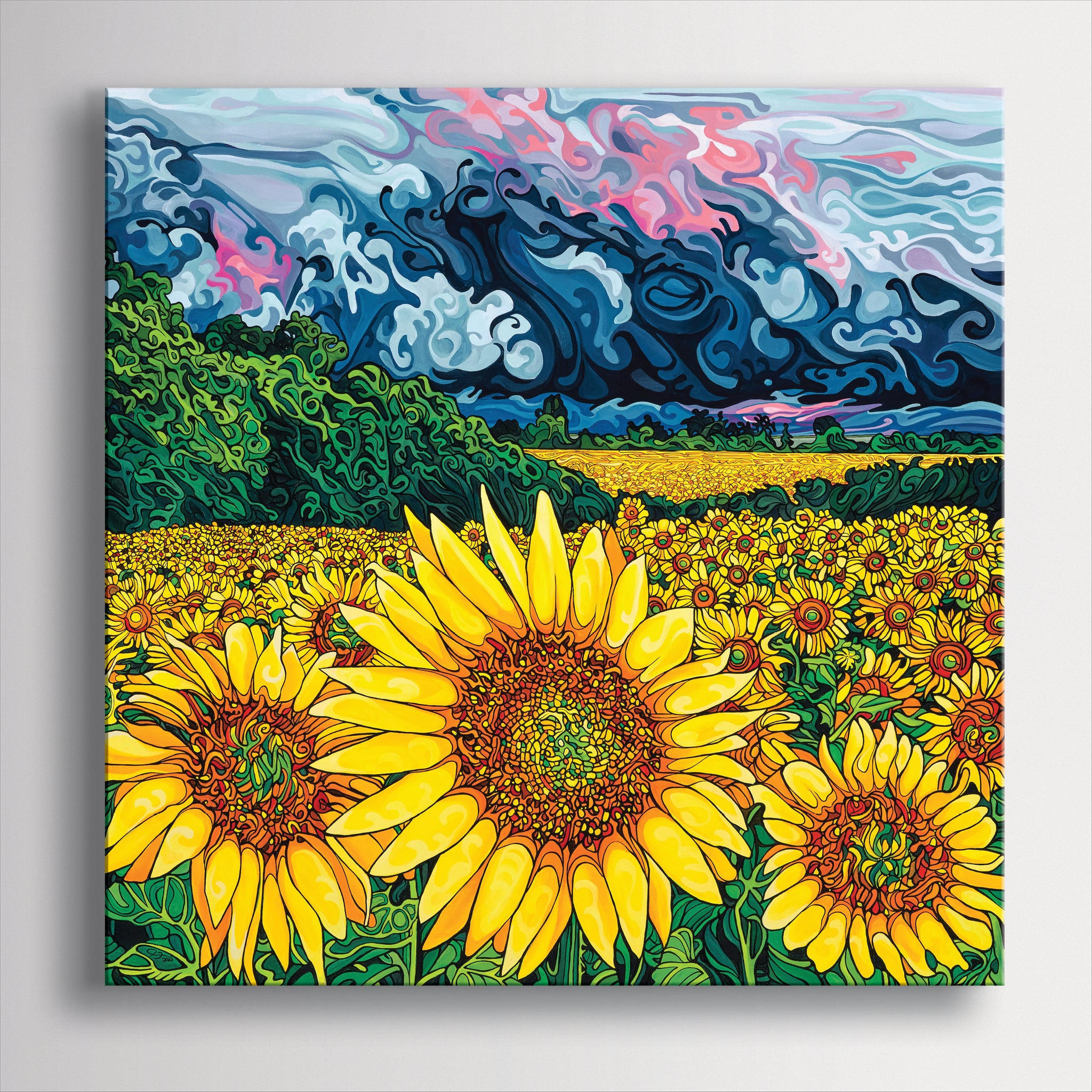 #230 – Splendour in the Storm